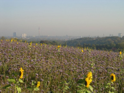 Ruhrpott_im_Oktober.jpg