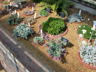 Alpine_Display_House_7993.jpg