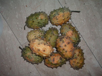 kiwanos.jpg