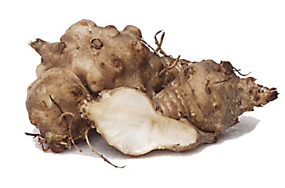 Giant_Naturwuchs.jpg