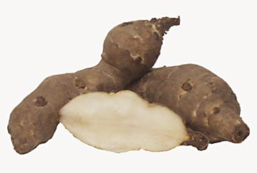 Volkenroder_Spindel_Naturwuchs.jpg