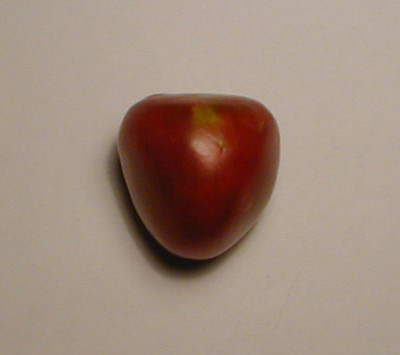PIC00003.1.jpg