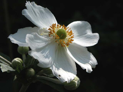 Img27255.jpg