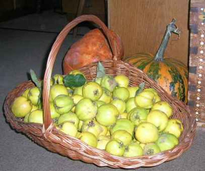 DSCN2228.jpg