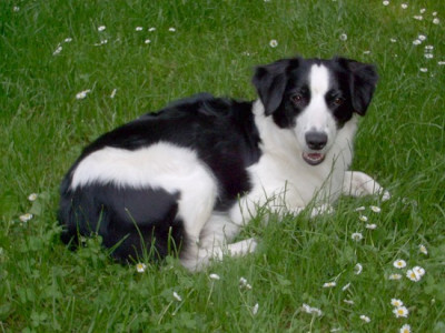 Beska1_6.05-2.jpg