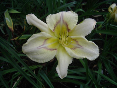 IMGP1072.JPG