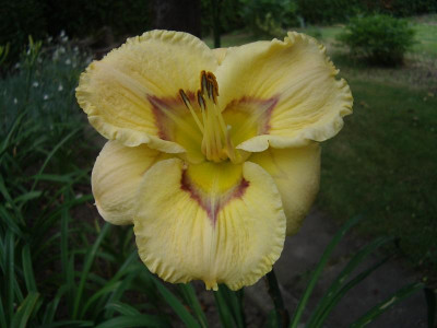 IMGP5414.JPG