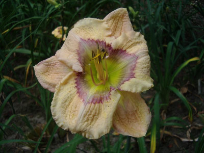 IMGP1888.JPG