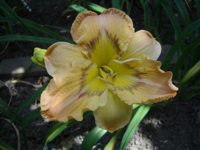 IMGP5793.JPG