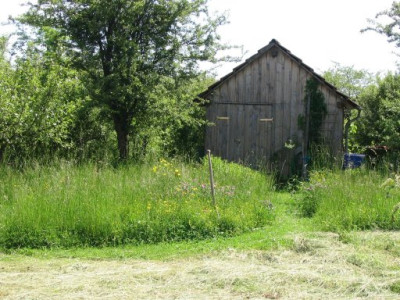 100_0075d.jpg