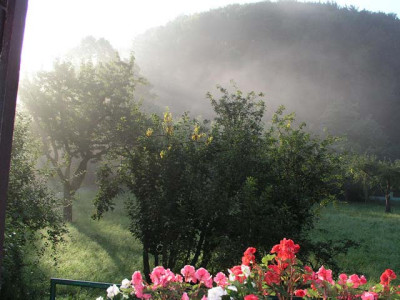 nebelgarten.jpg