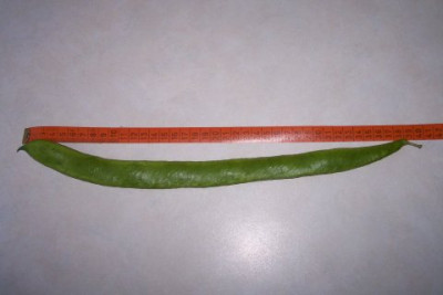 100_1448.jpg