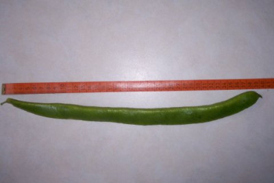 100_1450.jpg