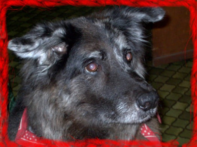 Maxi04.jpg
