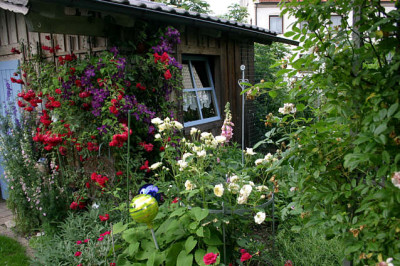 Rose Heinfels2108b.jpg