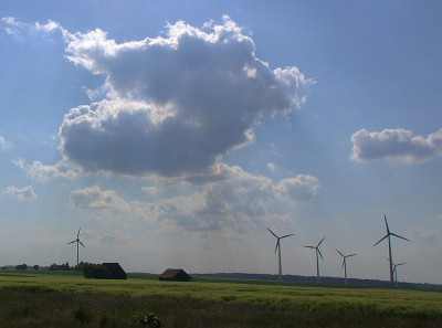im feld.jpg