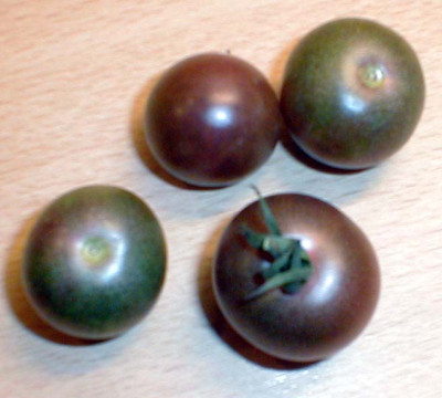 PIC00004.jpg