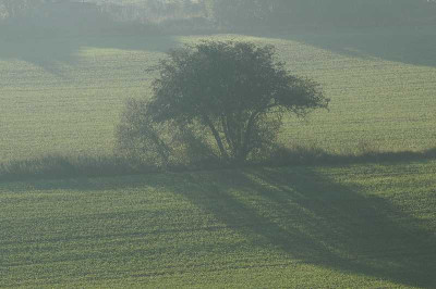 Feldansichten_2_16-10-05.jpg