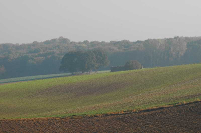 Feldansichten_3_16-10-05.jpg
