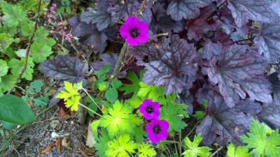WP_20150617_11_42_08_Pro.jpg