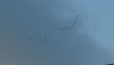 flug.jpg
