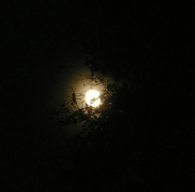 Vollmond1005.jpg