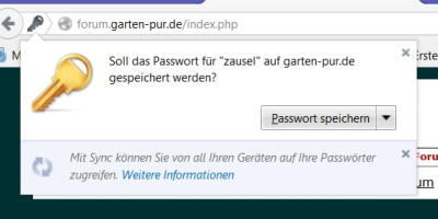 Passwort_soll_gespeichert.jpg