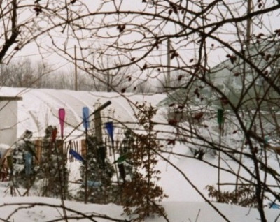 2005-02-07_flaschendeko_in_hecke_vor_folientunnel.JPG