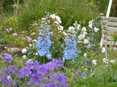 2015-06-17 Garten.jpg