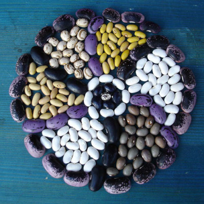 b.mandala.jpg