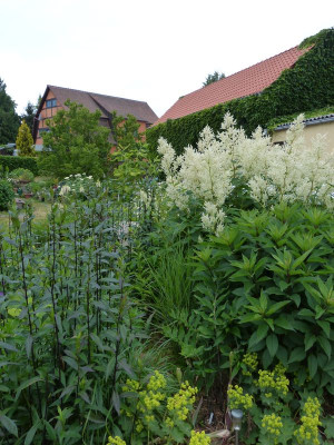 2015-06-18 Garten 1.jpg