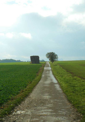Feldansichten_1_23-10-05.jpg