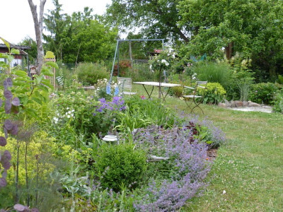 2015-06-18 Garten 2.jpg