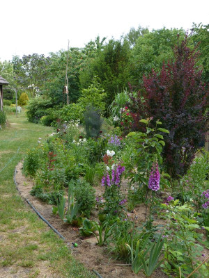 2015-06-18 Garten 3.jpg
