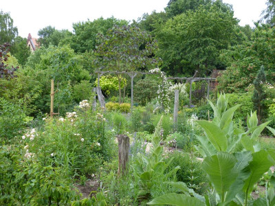 2015-06-18 Garten 4.jpg