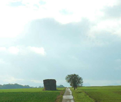Ansicht-Frank-1-a.jpg
