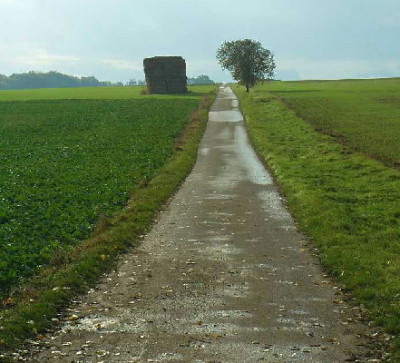 Ansicht-Frank-2-a.jpg