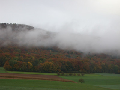 DSCN21015_95.jpg