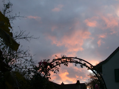 DSCN21016_94.jpg
