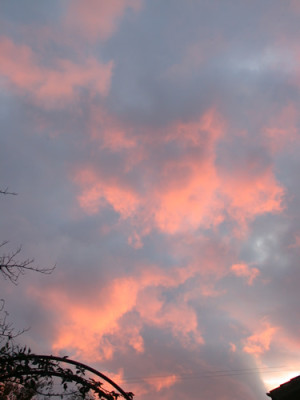 DSCN21020_95.jpg