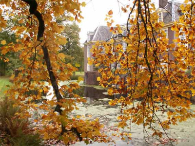 2005_NL-Wiersse-lirio.jpg