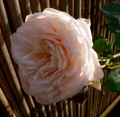 1martine-guillot.jpg