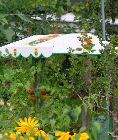 Schreber-3.jpg