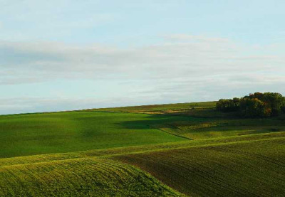 Feldansichten_1_26-10-05.jpg