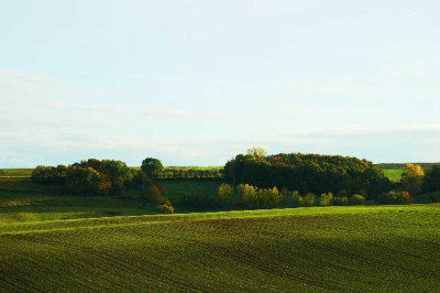 Feldansichten_2_26-10-05.jpg