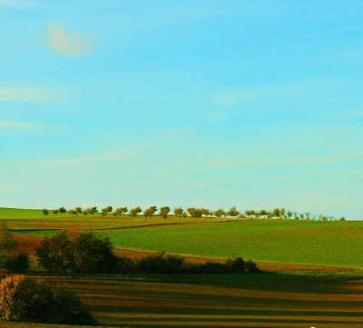 Feldansichten_4_26-10-05.jpg