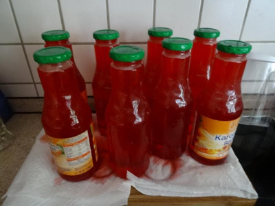 erdbeer01.jpg
