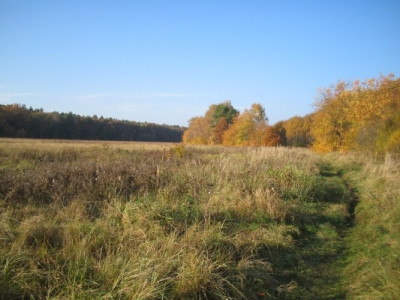 Oktober.jpg