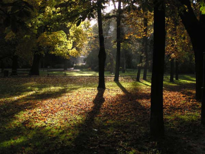 herbst_pur2.jpg