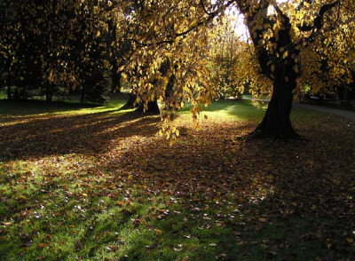 herbst_pur3.jpg